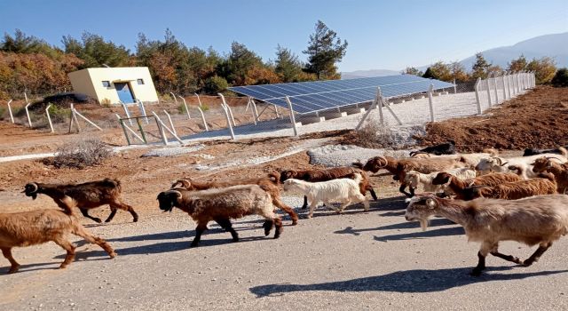 Örencik Köyü Güneş Enerji Panelleri hizmete girdi