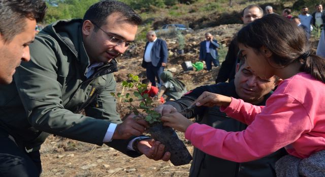 Sumbas Kaymakamı Mehmet Furkan Taşkıran, fidan dikim etkinliğine katıldı