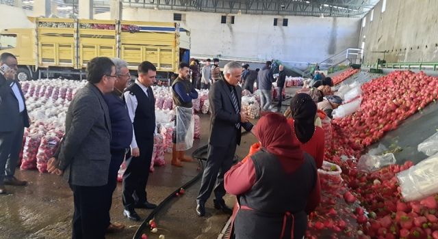 Kaymakam Vehbi Bakır'dan turp işçileri ve turp üreticilerine ziyaret