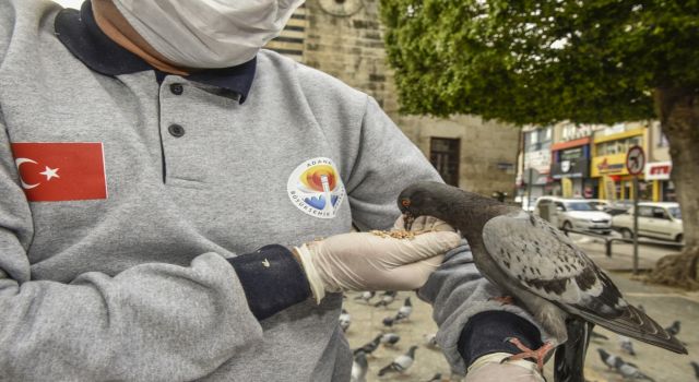 Sokak canlılarıyla ilgili hizmet ve destek artırılarak sürdürülüyor