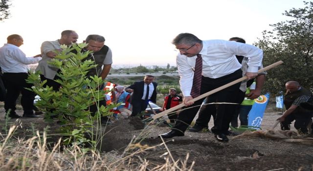 Osmaniye'de 15 Temmuz Demokrasi Şehitleri Hatıra Ormanına yeni fidanlar dikildi