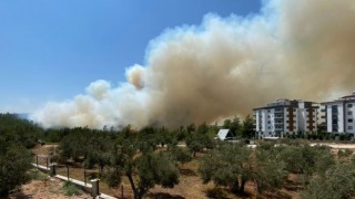 Osmaniye’de devlet hastanesi yanında korkutan yangın