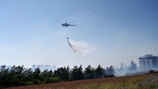 Osmaniye’deki yangınla ilgili 4 kişi gözaltında...