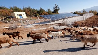 Örencik Köyü Güneş Enerji Panelleri hizmete girdi