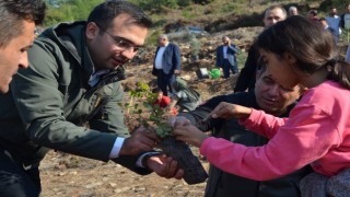 Sumbas Kaymakamı Mehmet Furkan Taşkıran, fidan dikim etkinliğine katıldı