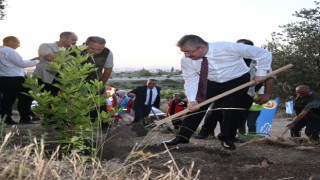 Osmaniye'de 15 Temmuz Demokrasi Şehitleri Hatıra Ormanına yeni fidanlar dikildi